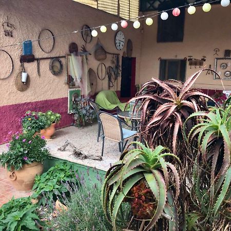 Bed and Breakfast Casa Fletch El Salado Exterior foto