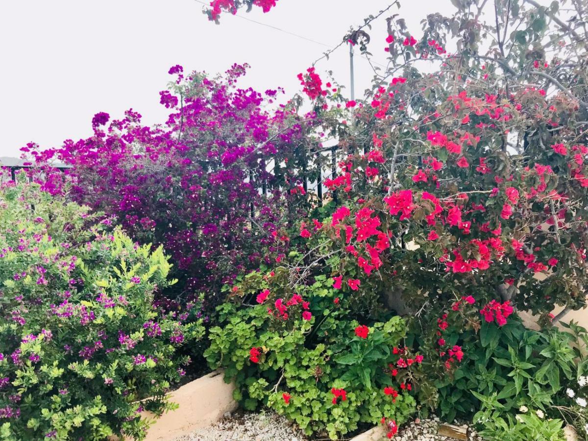 Bed and Breakfast Casa Fletch El Salado Exterior foto